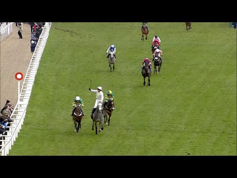 🥂 The toast of Cheltenham! A look back at CHAMPAGNE FEVER winning the 2013 Supreme Novices' Hurdle