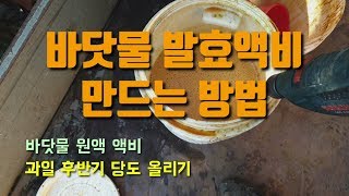 바닷물발효액비 만드는 방법 바닷물로 후반기 과일 당도 올리기
