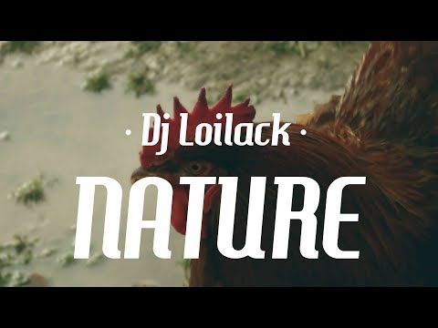 DJ Loilack - Nature
