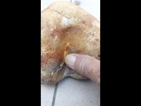 Affronti il pacco con sapone semplice La migliore faccia fa i bagagli da risposte di rughe
