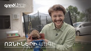 ԳործԱրար. Ոզնիների այգի