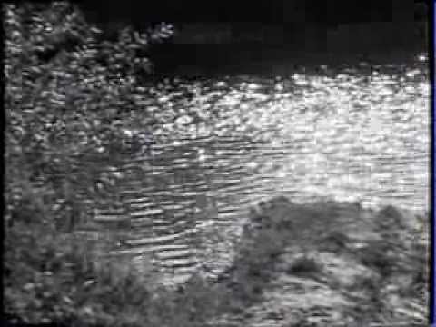 Teče voda, teče - Franjo Korenjak i Muški zbor HPD "Slavulj" Petrinja