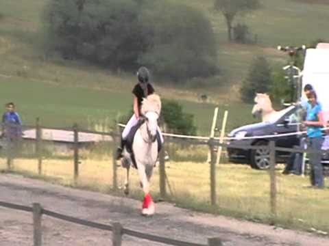 DJIM 2010 Galopp Rennen Sophia