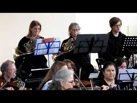 Hutt Valley Orchestra - Tchaikovsky's 5th Symphony, Movement 1