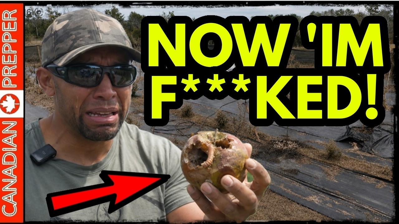 ⚡My Apocalypse FOOD SUPPLY is DESTROYED! Don't Make This ONE CRUCIAL Mistake!