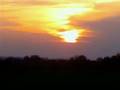 "Beautiful" by Meshell Ndegeocello 