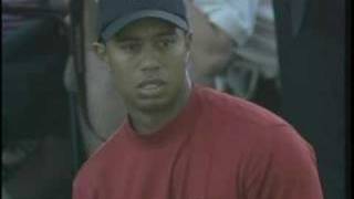 Die besten 100 Videos Tiger Woods- Best shot ever played