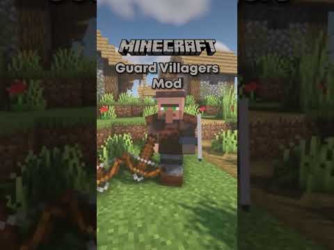 MINECRAFT Guard Villagers!⚔️ (Mod)