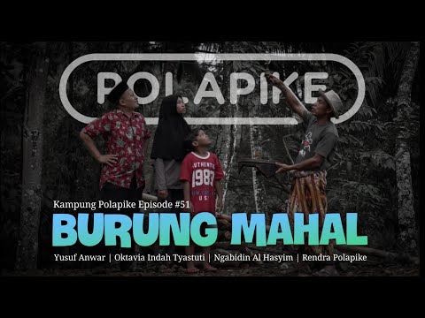 burung-mahal-polapike-film-pendek-ngapak-kebumen