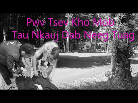 Jul 12, 2025 Pwv Tim Tsev Kho Mob Raug Tau Nkauj Dab Neeg Tuag