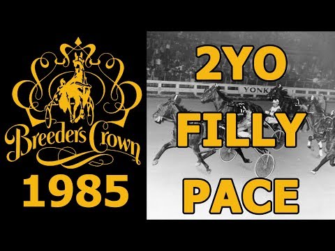 1985 Breeders Crown - Caressable - 2YO Filly Pace