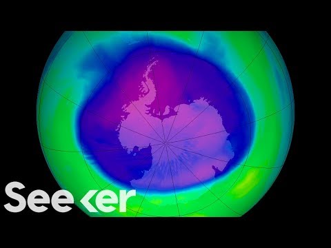 What Ever Happened To The Hole In The Ozone Layer?