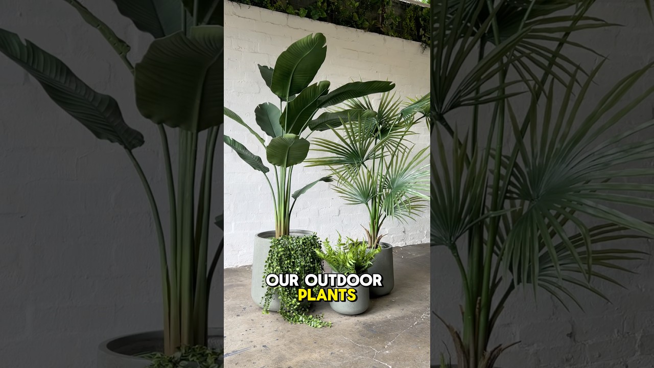 Our UV Resistant Outdoor Plants Range