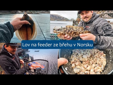 Lov na feeder ze břehu v Norsku