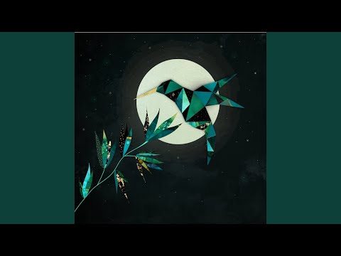 Flight Of The Nebers