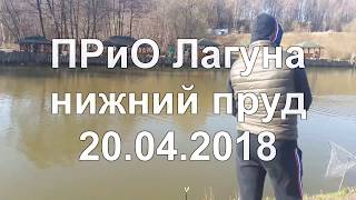 Рыбалка в лагуне на нижнем пруду
