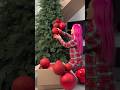 The Best Xmas Tree EVER 🥹 Christmas Newyear Homedecor Decoration Home Diy Cozyvibes