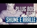 Shume E Ralle Pllug Bois & Buta