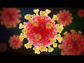 mRNA vaccine versus adenovirus vaccine mRNA vaccine versus adenovirus vaccine