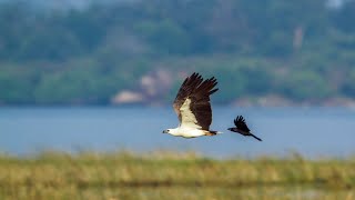 מדוע האדם ראשון נאסר באכילת בשר ונוח הותר▪️ הרב נחמנסון ▪️ (בית חב"ד רמת גן) (הרב יהודה לייב נחמנסון) - התמונה מוצגת ישירות מתוך אתר האינטרנט יוטיוב. זכויות היוצרים בתמונה שייכות ליוצרה. קישור קרדיט למקור התוכן נמצא בתוך דף הסרטון מדוע האדם ראשון נאסר באכילת בשר ונוח הותר▪️ הרב נחמנסון ▪️ (בית חב"ד רמת גן) (הרב יהודה לייב נחמנסון) - התמונה מוצגת ישירות מתוך אתר האינטרנט יוטיוב. זכויות היוצרים בתמונה שייכות ליוצרה. קישור קרדיט למקור התוכן נמצא בתוך דף הסרטון
