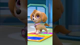 Do the Pup Pup Boogie! 🕺💃 #PAWPatrol #Shorts #dance
