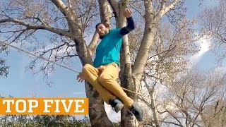 faze tari faze impresionante