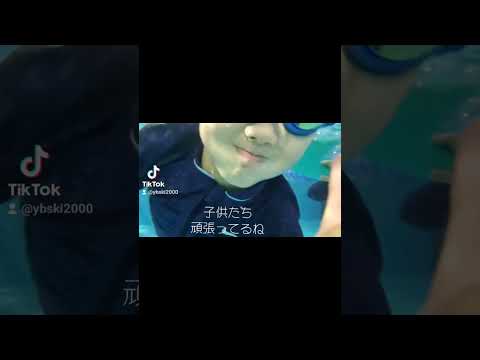 ガーデンスイミングプールのレイアウト - インスピレーションを与えるアイデアと写真  庭園