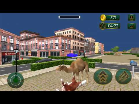 Angry Camel Rampage Video