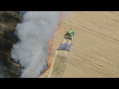 download lagu mp3 mp4 Fire In The Field, download lagu Fire In The Field gratis, unduh video klip Fire In The Field