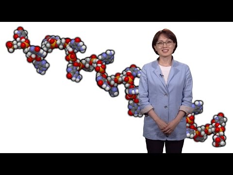 V. Narry Kim (IBS and SNU) 1: microRNA Biogenesis and Regulation