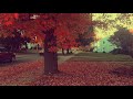 Kalaaba Kaadhala Kaakha Kaakha Love Bgm Harris Jayaraj Love Bgm WhatsApp Status GVM