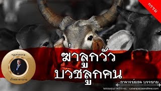 อาจารย์ยอด : ฆ่าลูกวัวบวชลูกคน [กรรม] new