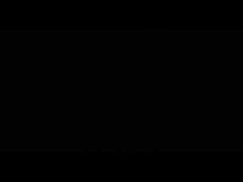 Pokémon N2 Duallocke | Perdón!!