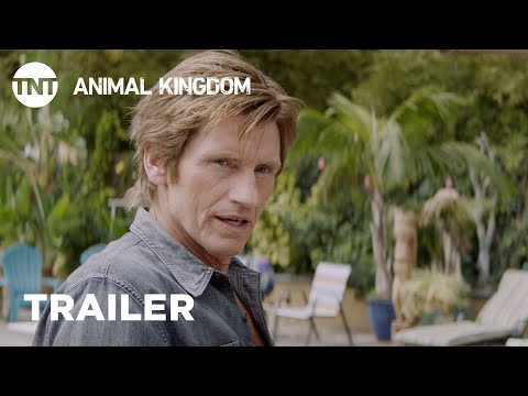afbeelding Animal Kingdom: Kingdom Come - Season Premiere May 29 [TRAILER] | TNT