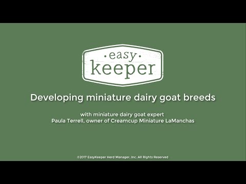 , title : 'Developing Miniature Dairy Goat Breeds'