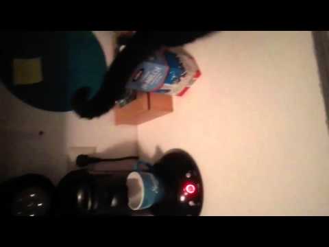 Der große Kaffee Lets Test #001 Dalmayr Crema d'Oro Intensa