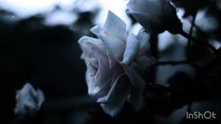 N II U - I MISS YOU (432Hz)