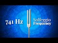 741 Hz Solfeggio Frequency | Tuning Fork | Activate Intuition and Enhance Self-Awareness | Pure Tone