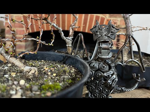 Making Larch Bonsai Easy! No ‘Larching’ About Six Larch’s 6 Different Designs! #bonsai #inspiration