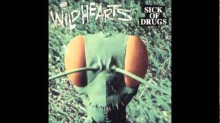 The Wildhearts - Sky Chaser High - (Audio) - 1996