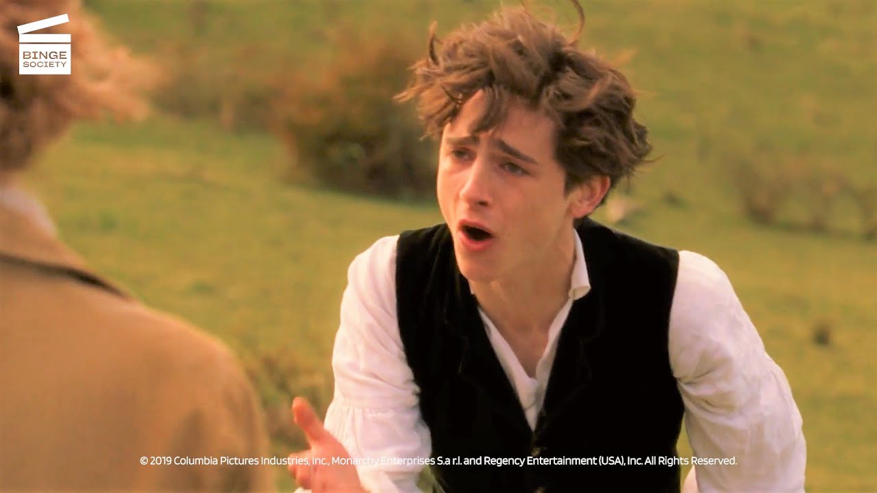 Little Women (2019): Laurie proposes to Jo (HD CLIP)