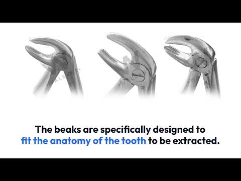 Waldent Pedo Extraction Forceps Kit Set of 7 (K1/2)