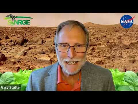 Almeria growing systems