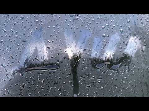 CRY НЕБА - Душ [audio]