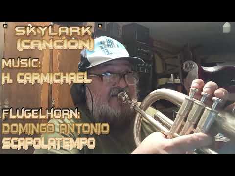 "SKYLARK"Music: H.CARMICHAEL. Flugel: DOMINGO ANTONIO SCAPOLATEMPO.