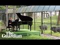 Rick Wakeman's piano concert for rescued bears