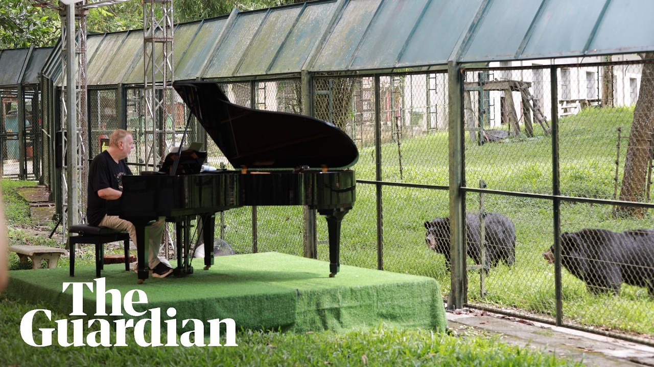 Rick Wakeman's piano concert for rescued bears - YouTube