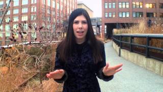 Sarah Elizabeth Foster - The 100 Song Project - Nov 2013