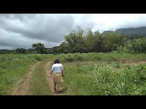 El Yunque Rain Forest  4/6/21