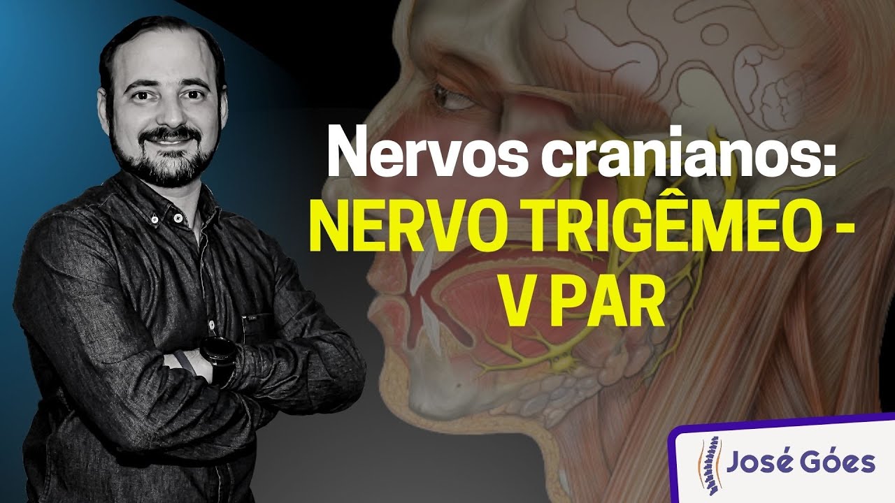 Nervos cranianos: NERVO TRIGÊMEO - V PAR | José Góes